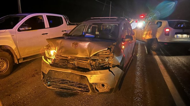 Van'da sürüye çarpan otomobildeki 2 kişi yaralandı, 25 koyun telef oldu