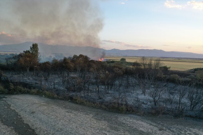 Ağrı'da ağaçlık alanda çıkan yangına müdahale ediliyor