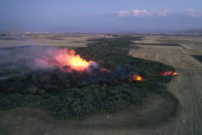 alanda AĞRI çıktı Ağaçlık yangın - 2