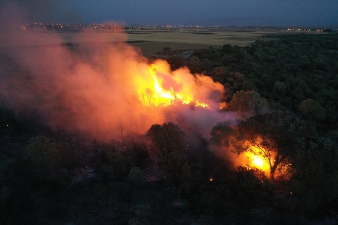 yangın - AĞRI Ağaçlık alanda çıktı 11