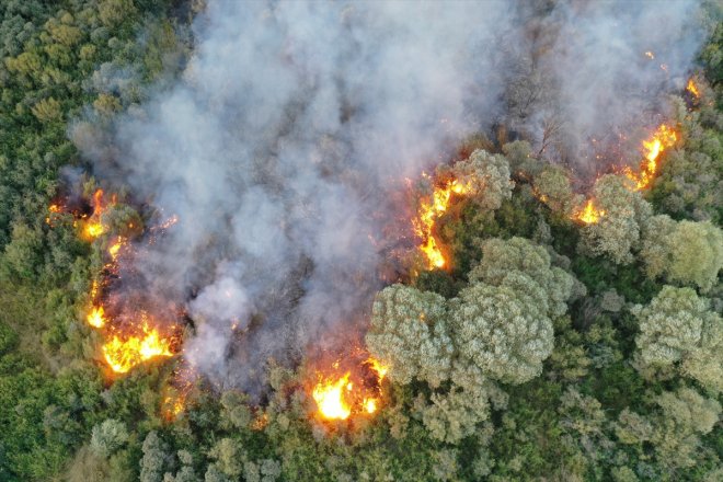 yangın - Ağaçlık AĞRI çıktı alanda 3