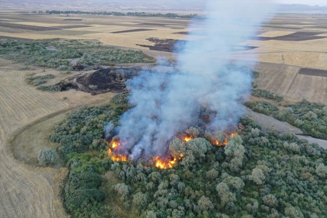 çıktı AĞRI yangın alanda - Ağaçlık 4