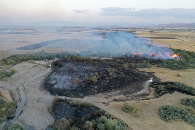 alanda - yangın Ağaçlık çıktı AĞRI 5