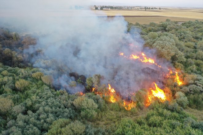 AĞRI çıktı alanda yangın Ağaçlık - 6
