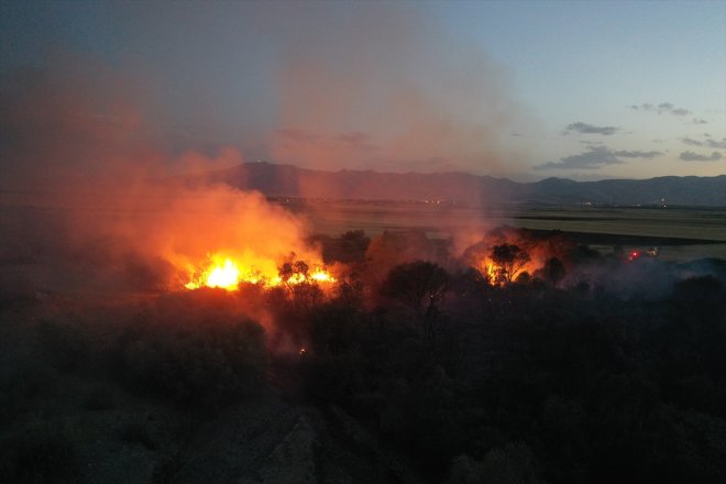 Ağaçlık yangın alanda çıktı AĞRI - 8