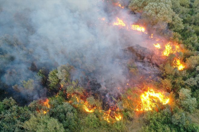 Ağaçlık alanda yangın çıktı AĞRI - 9