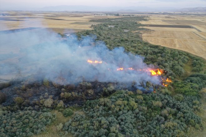 alanda Ağaçlık çıktı AĞRI - yangın 10