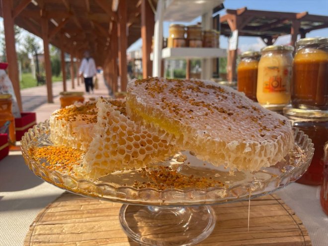 Ağrı'da bal festivali devam ediyor