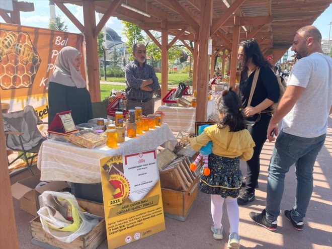 devam bal festivali ediyor Ağrı