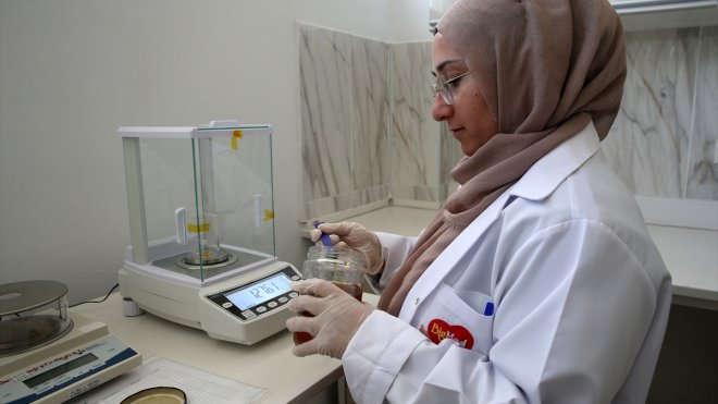 Bitlis Eren Üniversitesinde kurulan tam donanımlı laboratuvarda bal analizi yapılıyor