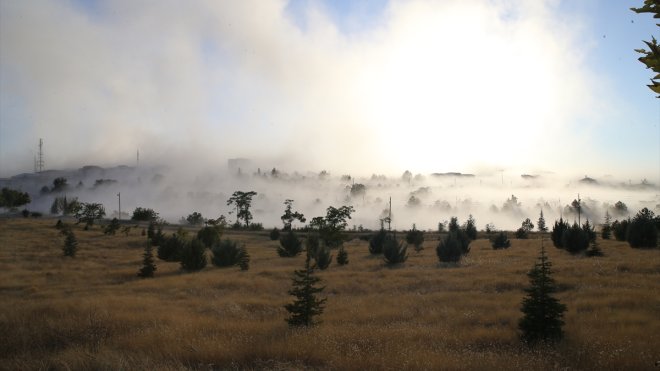 Depremlerin etkilediği Malatya'da 15 katlı 9 bina patlayıcıyla yıkıldı