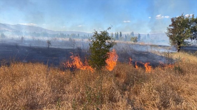 Erzincan'da çıkan arazi yangını söndürüldü