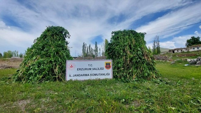 Erzurum'daki jandarma operasyonlarında uyuşturucu madde gele geçirildi