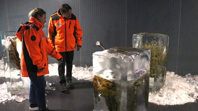 Erzurum'daki müzede "buz içindeki bitkilerle" küresel ısınma anlatılıyor