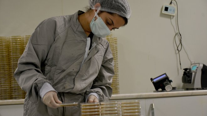 Devlet destekleriyle işini geliştirip ihracatı ve istihdamı artırdı