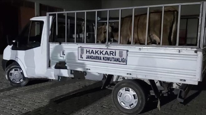 Hakkari'de farklı suçlardan 49 şüpheli hakkında işlem yapıldı