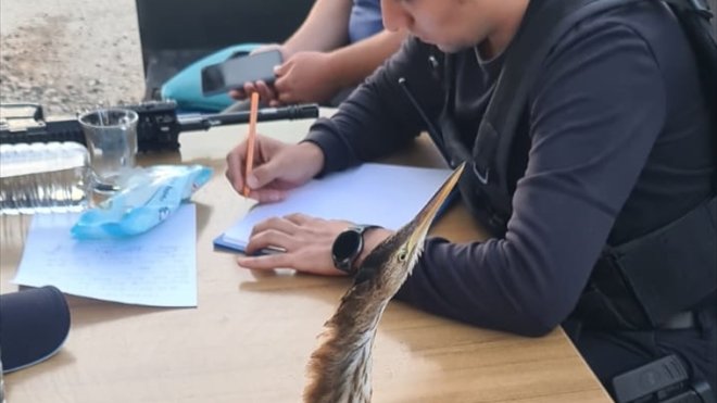 Hakkari'de polislerin bulduğu yaralı balaban koruma altına alındı