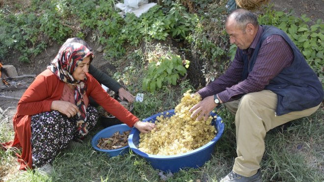 HAKKARİ - Usta öğretici çift, kök boya geleneğini sürdürüyor1