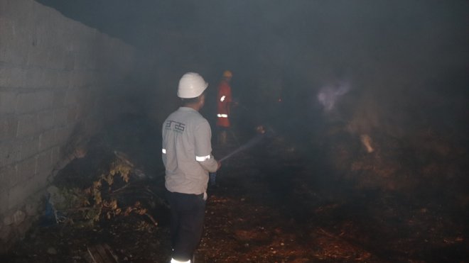 IĞDIR - Çıkan yangında 2 ahır ile 8 bin ot balyası küle döndü1