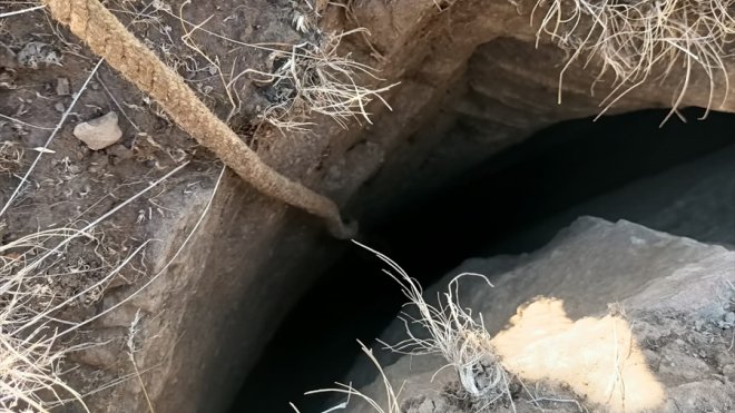 Kayalıklarda sıkışan köpek yavrusu, annesinin dikkat çekmesi sonucu kurtarıldı