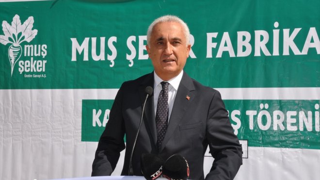 Muş'ta şeker pancarı alım kampanyası başladı