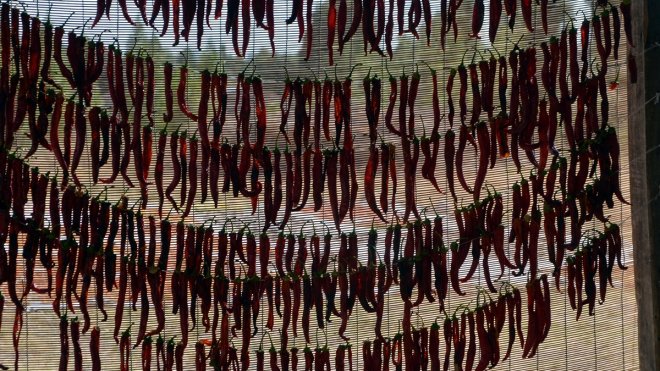 Muşlu çiftçiler, tarlalarında yetiştirdikleri sebzeleri kurutarak satışa sunuyor1