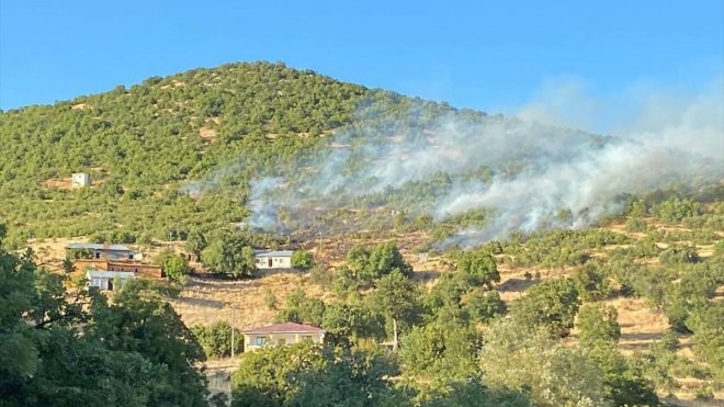 Tunceli'de ormanlık alanda çıkan yangın söndürüldü