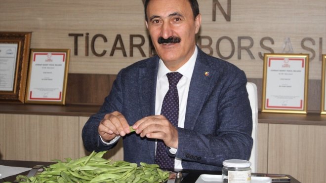 Van'da "Gevaş Fasulyesi" coğrafi işaretle tescillendi