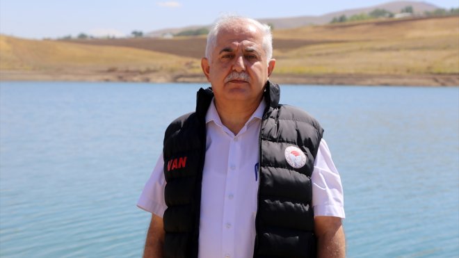 Van'da göletlere 900 bin sazan balığı yavrusu bırakıldı