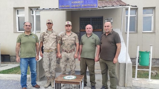 Van'da kaçak kınalı keklik avlayan kişi hakkında işlem yapıldı