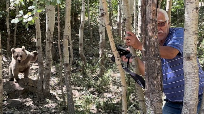 Nemrut Kalderası'na gelen ziyaretçilere bozayıları elle beslememeleri uyarısı