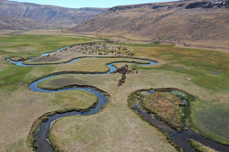 Yaylada sürüleri için 6 ay geçiren çobanlar dönüş hazırlığına başladı4