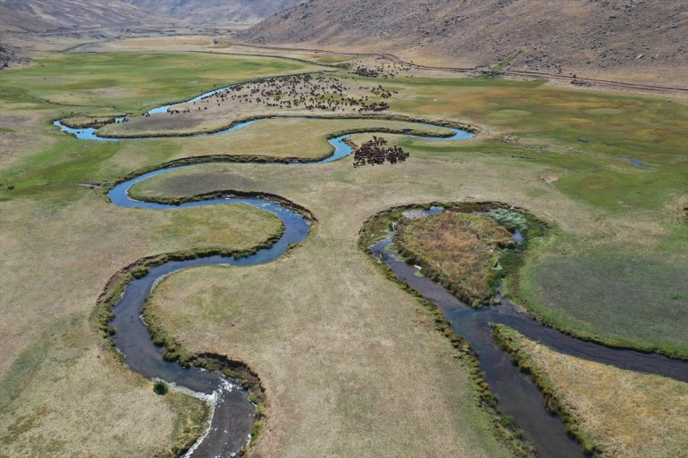 Yaylada sürüleri için 6 ay geçiren çobanlar dönüş hazırlığına başladı5