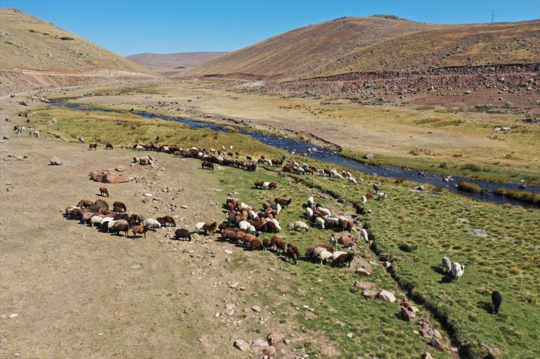 Yaylada sürüleri için 6 ay geçiren çobanlar dönüş hazırlığına başladı10
