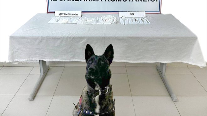 Ağrı'da evinde uyuşturucu bulunan şüpheli gözaltına alındı