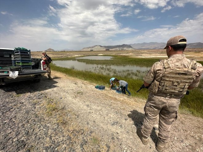 Ağrı'da kurbağa kaçakçılarına para cezası verildi