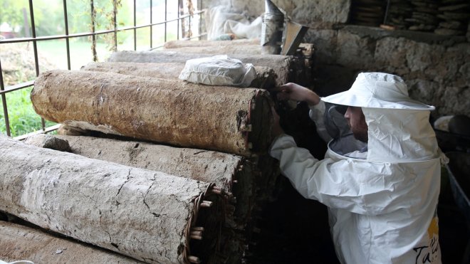 Bitlis'te kara kovan balının hasadına başlandı