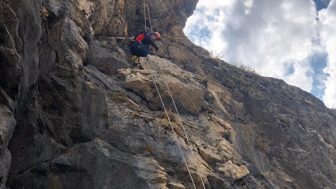 Bitlis'te kayalıklarda mahsur kalan 2 keçi AFAD ekiplerince kurtarıldı