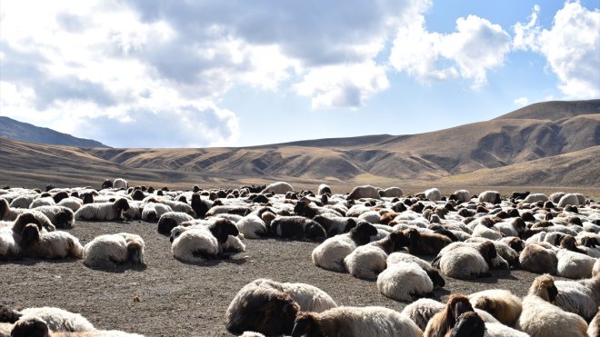 Nemrut Dağı'ndaki yaylalarda konaklayan göçerler dönüş için hazırlıklara başladı