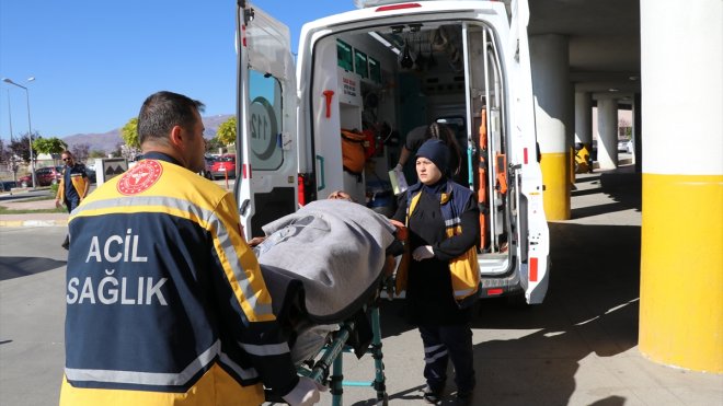 Erzincan'da ayının saldırdığı kişi yaralandı