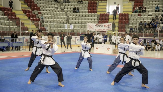 Türkiye Tekvando Poomsea Şampiyonası, Erzurum'da başladı