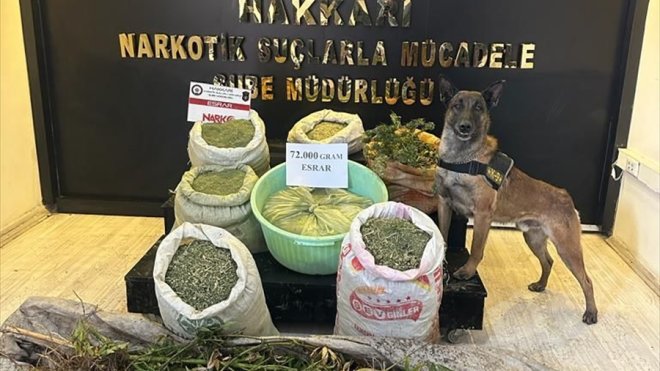 Hakkari'de 72 kilogram esrar ve 90 kök kenevir ele geçirildi