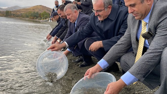 Hazar Gölü'ne 200 bin siraz balığı yavrusu bırakıldı