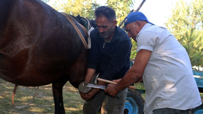 IĞDIR - Iğdırlı nalbant mesleğini 45 yıldır sürdürüyor1
