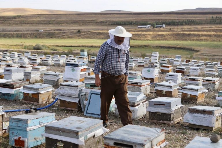 Kanser hastası oğlunu bal ile tedavi eden baba, arıcılığı meslek edindi5
