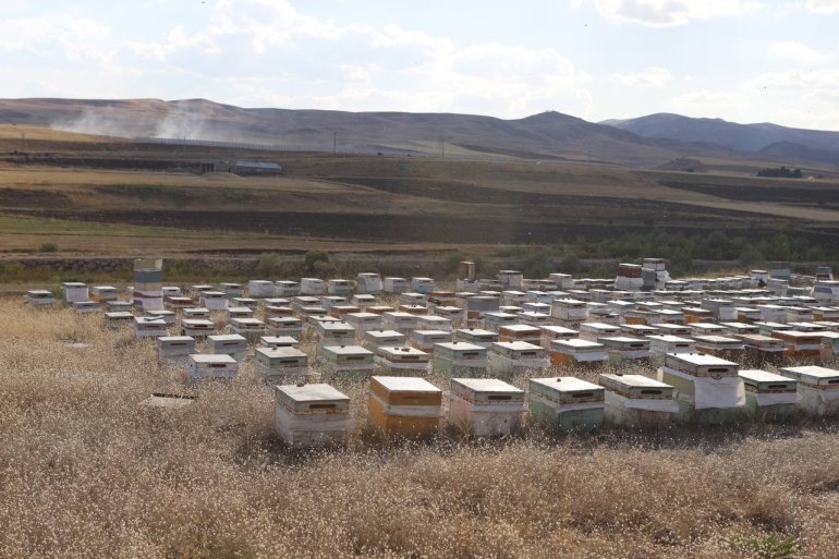 Kanser hastası oğlunu bal ile tedavi eden baba, arıcılığı meslek edindi7