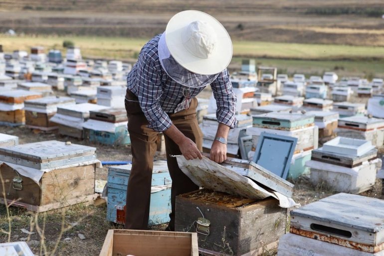 Kanser hastası oğlunu bal ile tedavi eden baba, arıcılığı meslek edindi2
