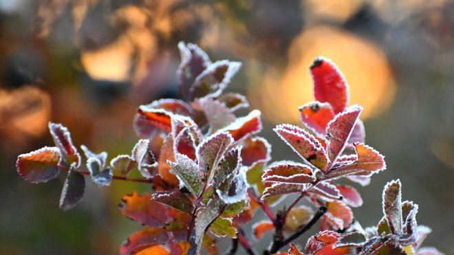 Kars'ta soğuk hava etkili oldu