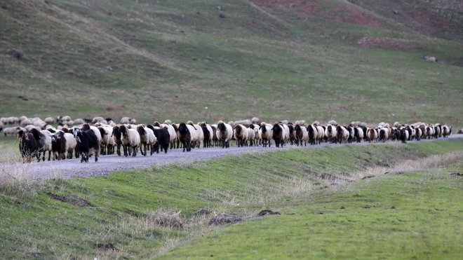 MUŞ - Göçerlerin Erzurum