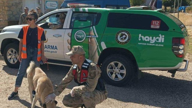 Tunceli'de sahipsiz hayvanlara HAYDİ ekipleri ve gönüller sahip çıkıyor